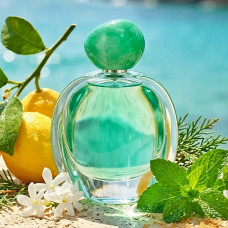265 - аналог Giorgio Armani - Acqua di Gioia - 100 ml