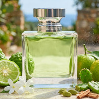 294 - аналог Versace - Versense - 100 ml