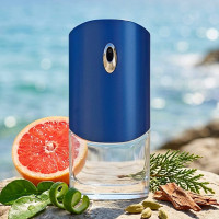 307 - аналог Givenchy - Blue Label Pour Homme - 100 ml