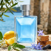 310 - аналог Versace - Pour Homme - 100 ml
