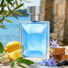 310 - аналог Versace - Pour Homme - 100 ml